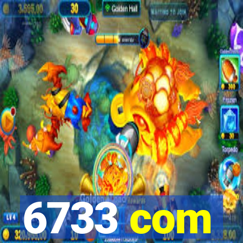 6733 com
